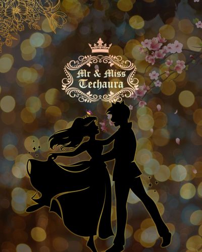 Mr & Miss Techaura img