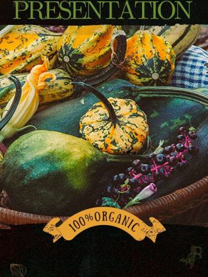 Organic Food Instagram Story