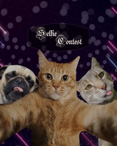 Selfie Contest img